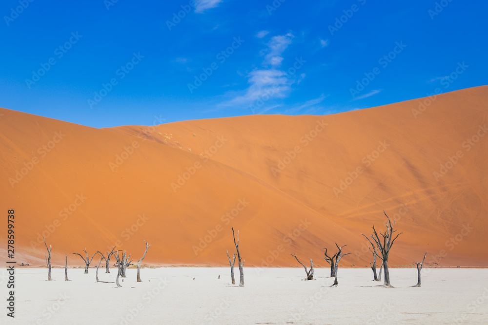 Paysage désertique de Namibie dunes Deadvlei Paysage désertique de Namibie dunes Deadvlei