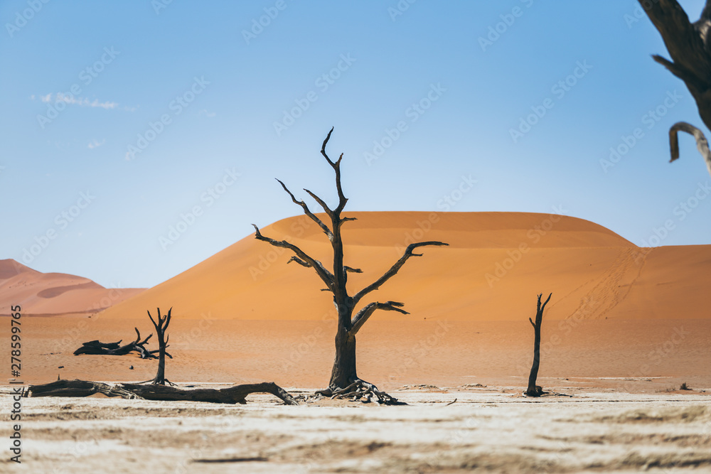 Paysage désertique de Namibie dunes Sossusvlei