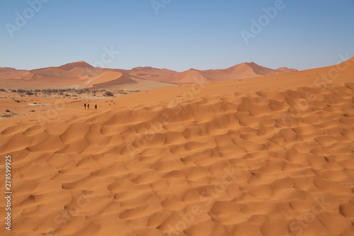 Texture sable sur dunes 