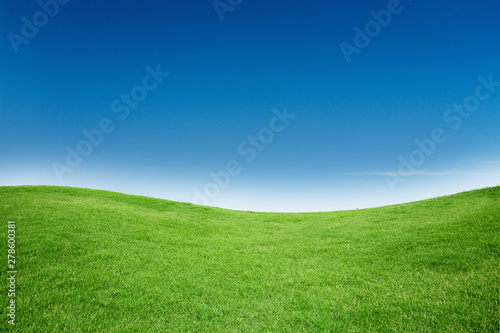Green Grass Texture with Blank Copyspace Against Blue Sky © charnsitr
