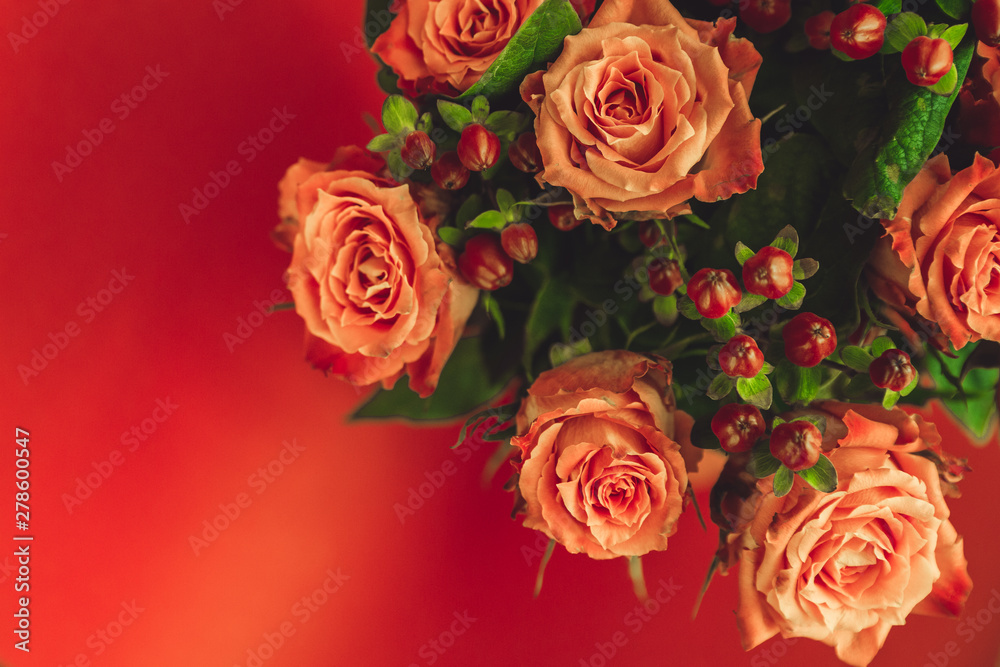 Orange roses on a red background Orange roses on a red background