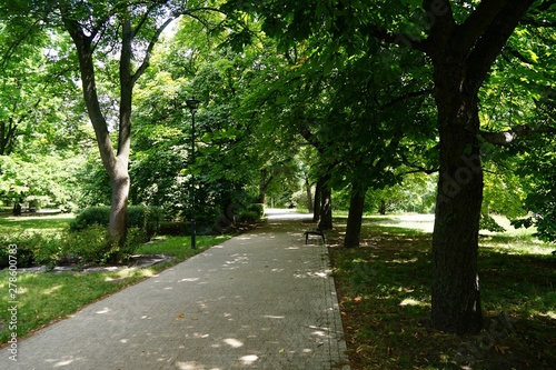 Park Tadeusza Mazowieckiego  photo