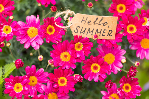 Top view: Beautiful Magenta Color Flowers With Handwritten Text ‘Hello, summer’. Concept: Summertime. 