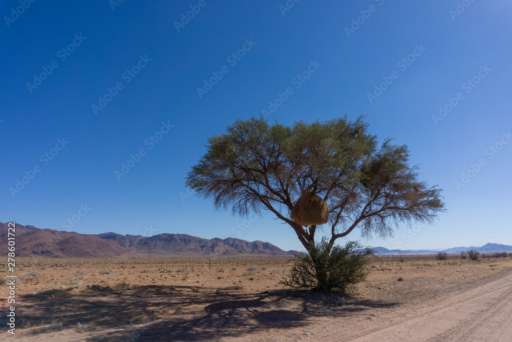 Landschaft in Namibia Afrika