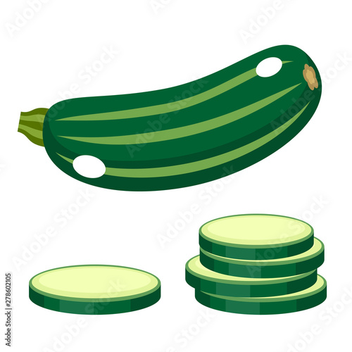 Zucchini on a white background. Vector illustration