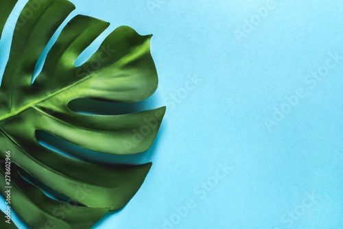 Monstera leaf on a blue background. Flat lay, top view. Place for your text.