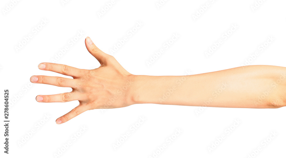 Young woman holding hand on white background, closeup Young woman holding hand on white background, closeup