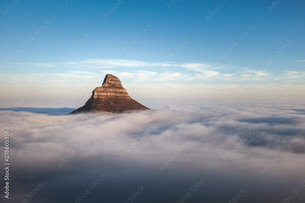 Obraz premium Lions head above the clouds