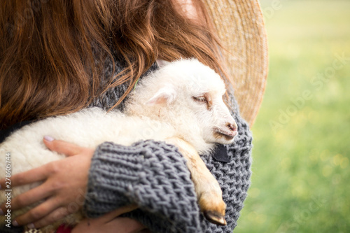 lamb in the hands of a woman, white lamb