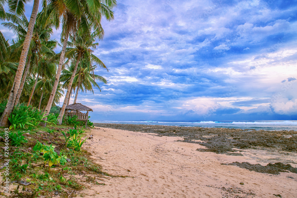 Beautiful beach. View of nice tropical beach with palms around. Holiday and vacation concept. Tropical beachat Philippines on the coast island Siargao