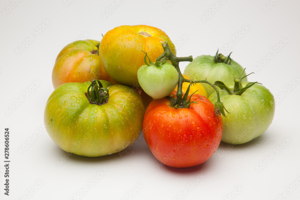 Tomates verdes y rojos, tomates verdes y maduros, recién traidos del huerto y preparados para ser cocinados o bien comidos crudos en una ensalada.