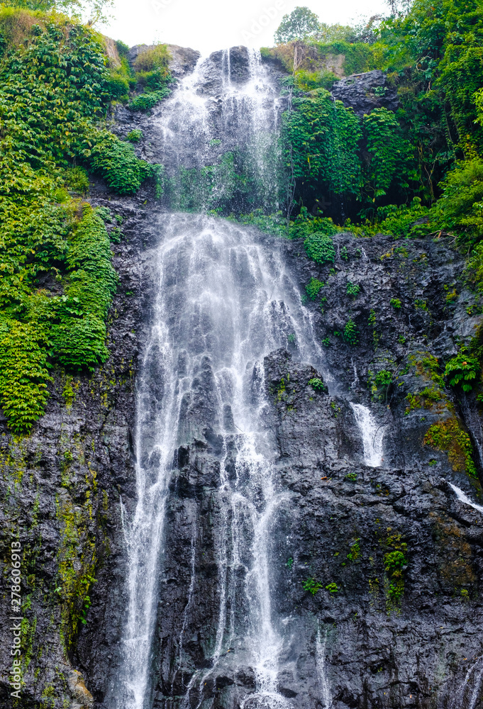 Obraz premium Banyumala waterfall with cascades among the green tropical trees and plants in the North of the island of Bali, Indonesia