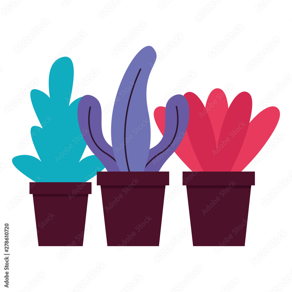 decoration plants in pot white background decoration plants in pot white background