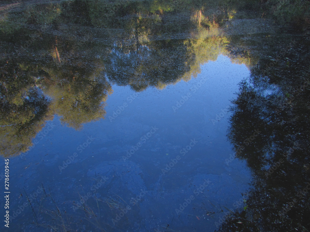 A vivid reflection of the blue summer clear sky in the dirty dark water of a forest lake.