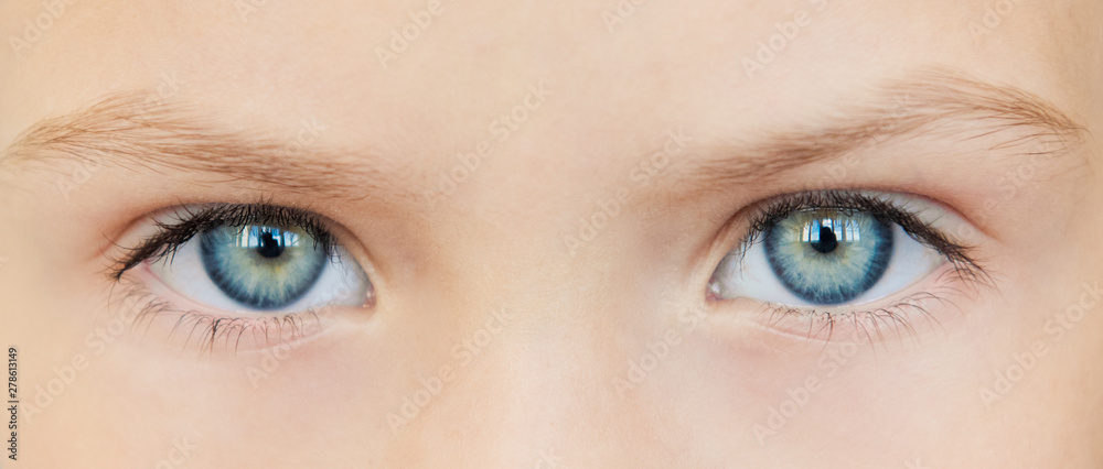 Naklejka premium Site header. Beautiful girl with expressive eyes
