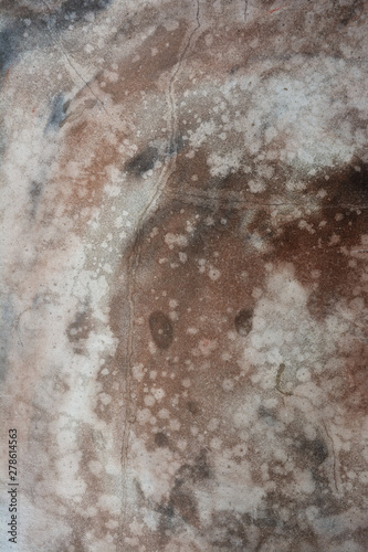 Fototapeta Naklejka Na Ścianę i Meble -  Grunge texture of old cement floor background.