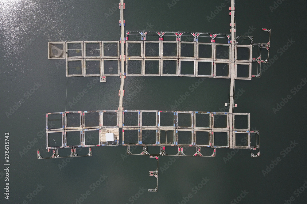 Naklejka premium Farm for breeding fish and oysters. Bird's-eye view. Shooting from the drone or quadcopter. Business in the reservoir for the cultivation of seafood. Pools and fishery cells. Trout and sturgeon