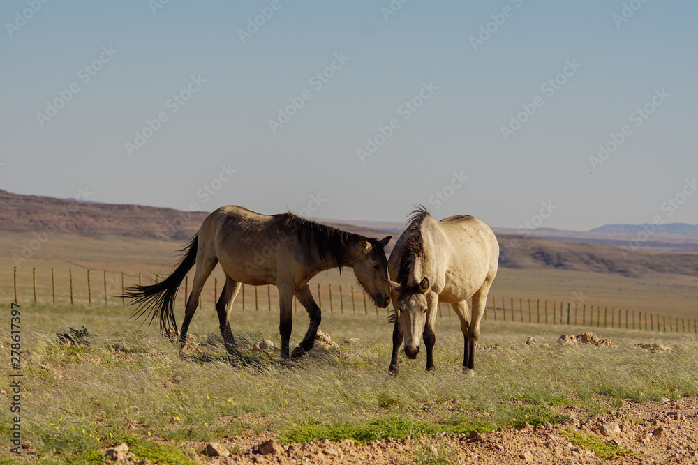 Namibia Afrika Rundreise