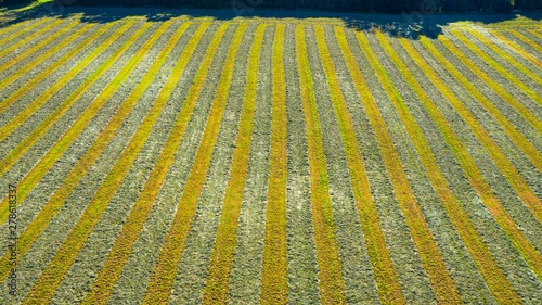 Aerial view of an agricultural field after harvest in late autumn in Naperville, IL in the United States. photo