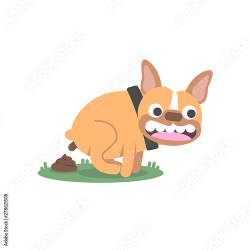 Cute Bulldog doing poop. Vector flat illustration.