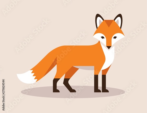 Fox flat illustration.