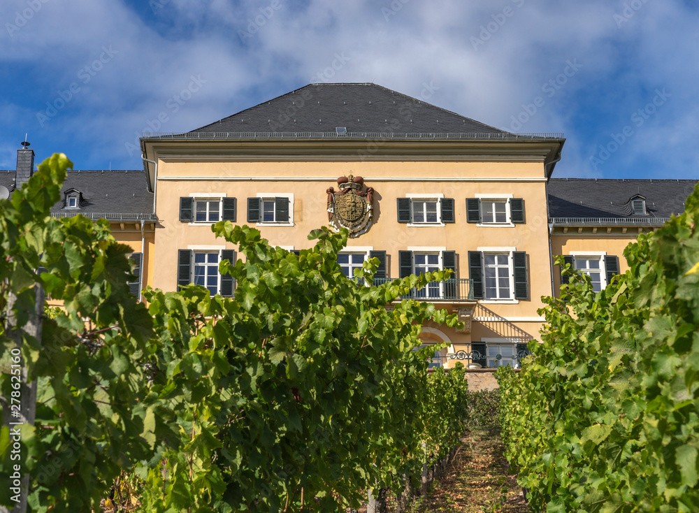 Ruedesheim Schloss Johannisberg, GERMANY, October 01, 2018: Schloss Johannisberg castle Rheingau
