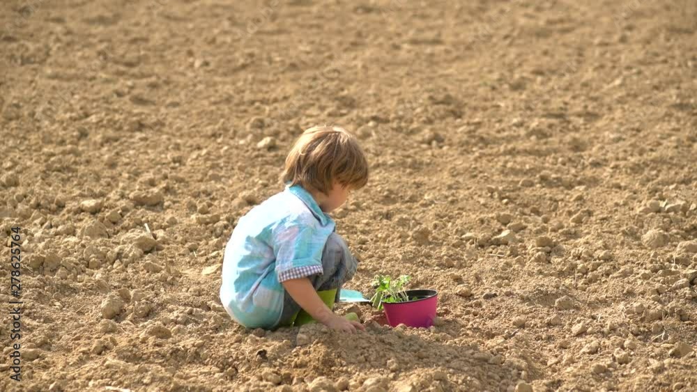 Cute little farmer working with spud on spring field. Happy little farmer planting on spring field - child farmer concept. Early childhood development. Eco farm. Carefree childhood. Cute little farmer working with spud on spring field. Happy little farmer planting on spring field - child farmer concept. Early childhood development. Eco farm. Carefree childhood.
