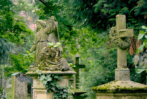 Friedhof Freiburg Herdern photo