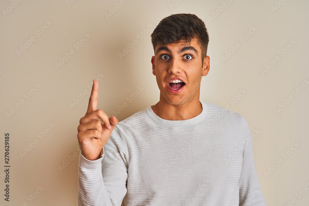 Young indian man wearing sweater standing over isolated white background pointing finger up with successful idea. Exited and happy. Number one. Young indian man wearing sweater standing over isolated white background pointing finger up with successful idea. Exited and happy. Number one.