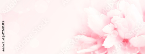 Closeup view of pink peony flower. Soft pastel wedding background. Banner for website.
