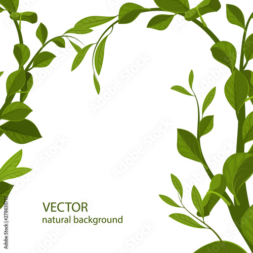 Background with green leaves, vector illustration. branches with green leaves.