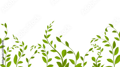 Background with leaves and branches, vector illustration. branches photo
