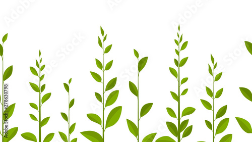 Green leaves on white background, vector leaves. Natural