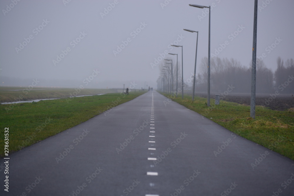 Empty road no car on it and tree with mist overall in the morning Empty road no car on it and tree with mist overall in the morning