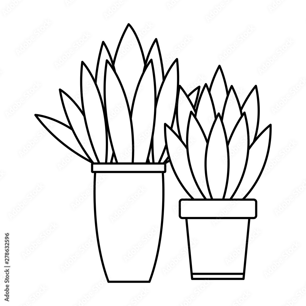 Decorative house plant pots cartoon in black and white Decorative house plant pots cartoon in black and white