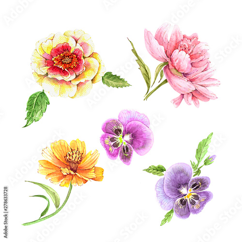 Fototapeta Naklejka Na Ścianę i Meble -  set of multicolored watercolor flowers illustrations on a white background