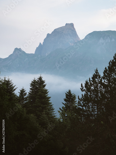 Mountain peak above the cloud inversion and forest foreground photo