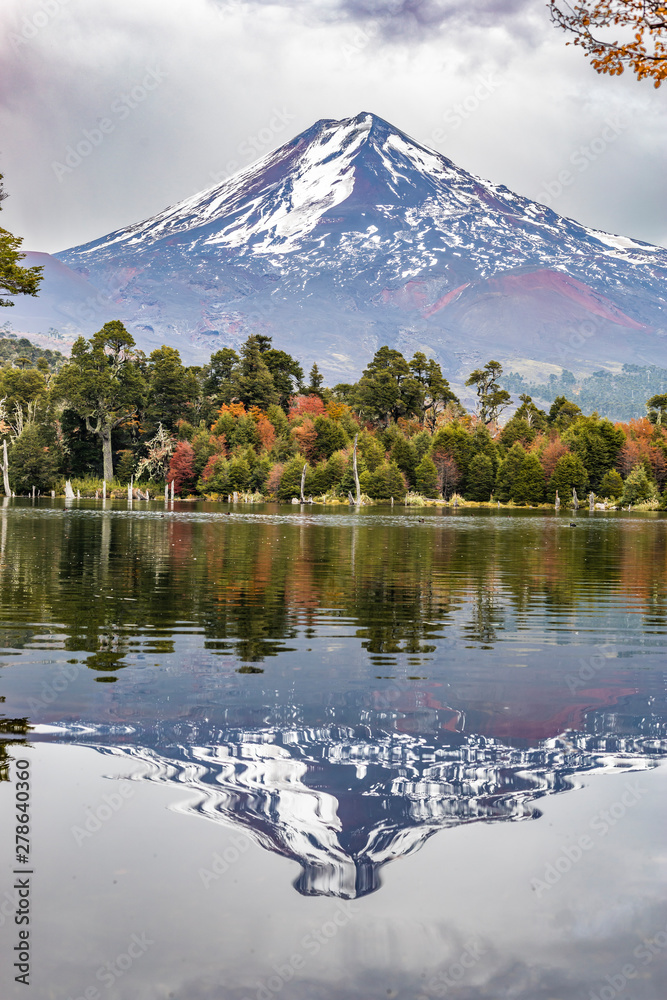 Captren Lagoon at Autumn Season, a colorful mirror over the waters with amazing reflections of Llaima Volcano, similar to Mt Fuji. An awe autumn leaf color volcanic scenery inside a wild environment