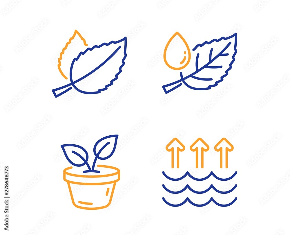 Mint leaves, Leaves and Leaf dew icons simple set. Evaporation sign. Mentha herbal, Grow plant, Water drop. Global warming. Nature set. Linear mint leaves icon. Colorful design set. Vector