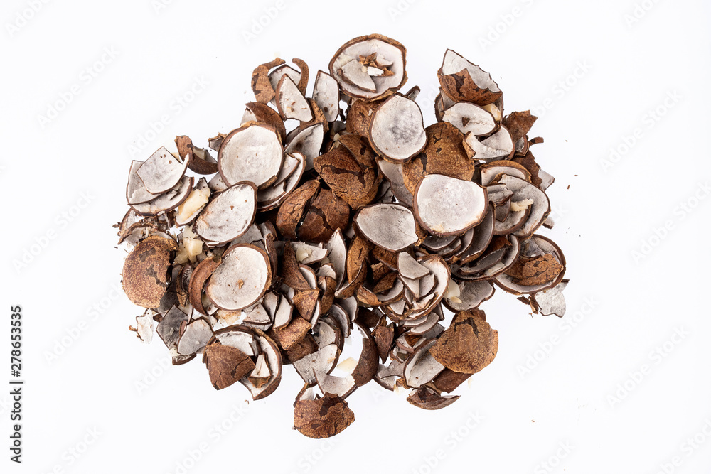 Plukenetia volubilis - Pieces of sacha inchi bark. Plukenetia volubilis - Pieces of sacha inchi bark.