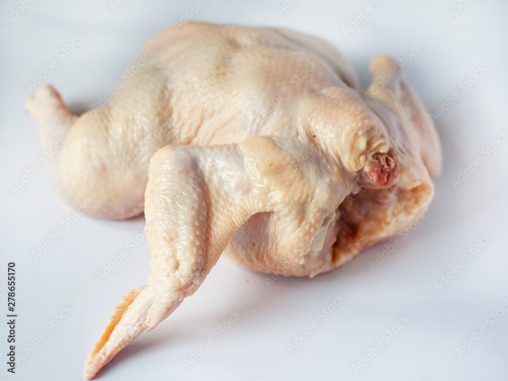 freshly cut chicken on a white background,broiler carcass white chicken meat  