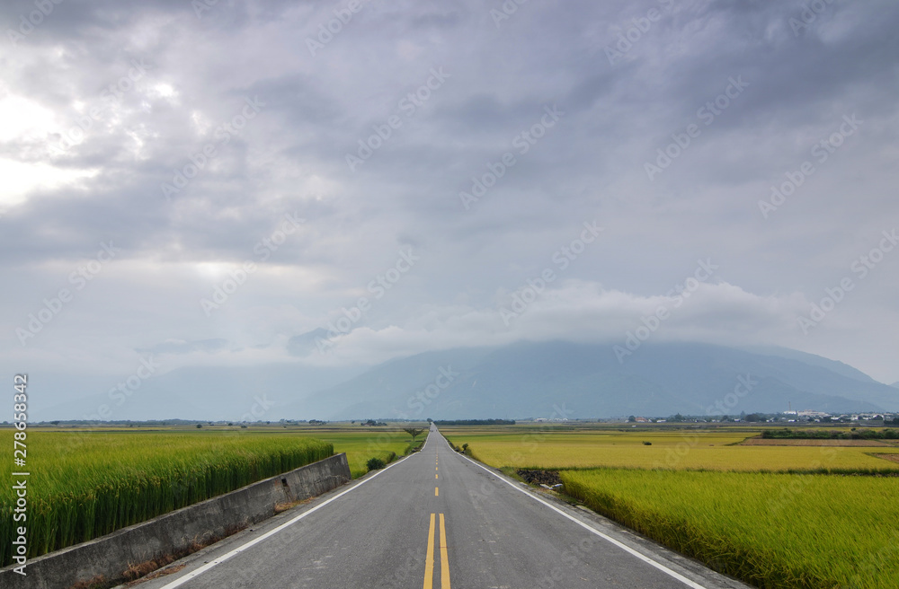  The road pass trough green rice farm at Taitung, Taiwan     
