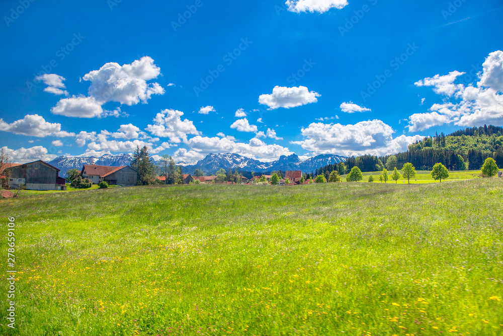 Fototapeta premium village near Alps , scenery with green meadow 