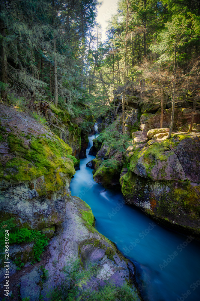 Trail of the Cedars - Avalanche CreekArea