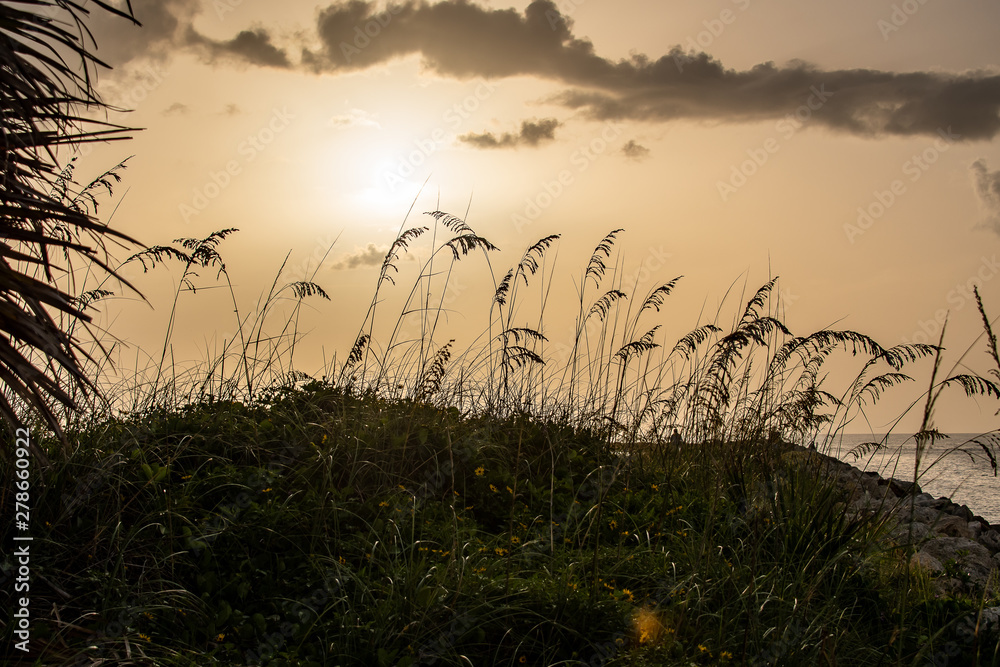 Fototapeta premium sunset on the beach in paradise