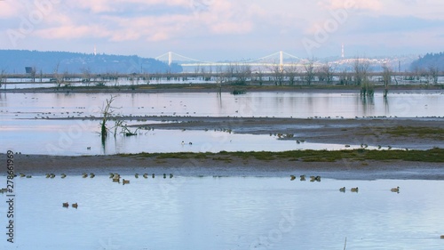 bridge over river