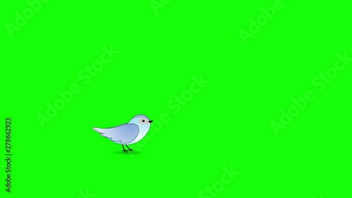 Cartoon Bird Flies in and Perches on Green Screen background