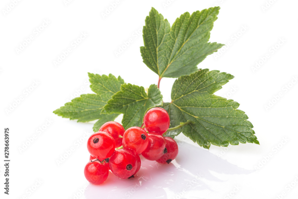 Fresh berries of red currant with green leaves isolated on white background Fresh berries of red currant with green leaves isolated on white background