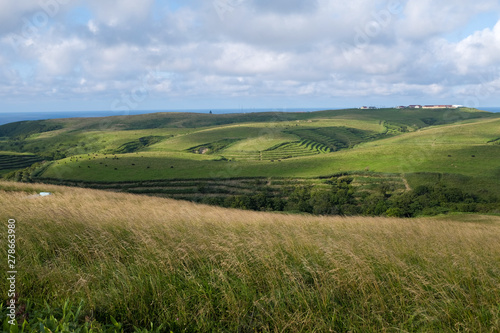 landscape with green field and blue sky