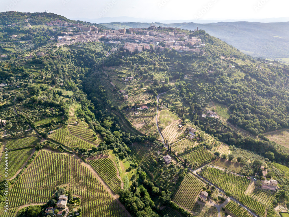The vineyard of Montalcino
